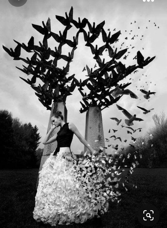 Screenshot_20231027_232110_Pinterest