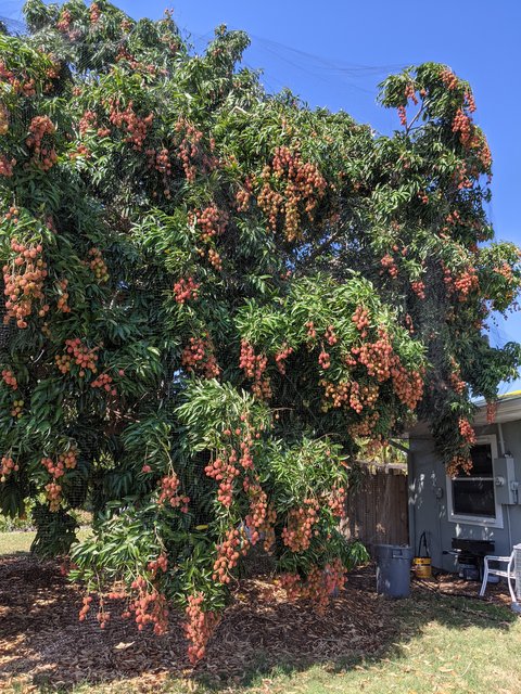 [Image: PXL-20210527-204536990.jpg]