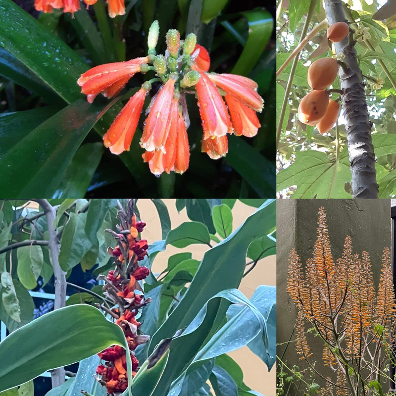 FD54B2AE-31E3-43E4-B94F-11DB6B8002D4