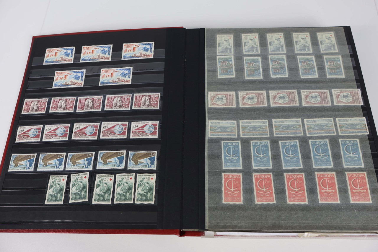 IMG 4020