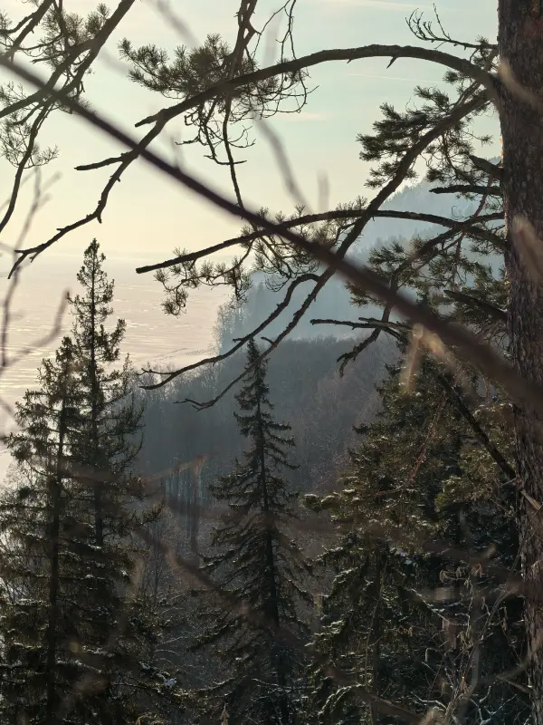 ssop9UuImXYlA6-Qjmslnu86Eg_rsV3oRTAXrqZ4KjXapxls44fhjn4l6I1bRHlpO9xvd2fSKFoLE0eMfsJ49pxE