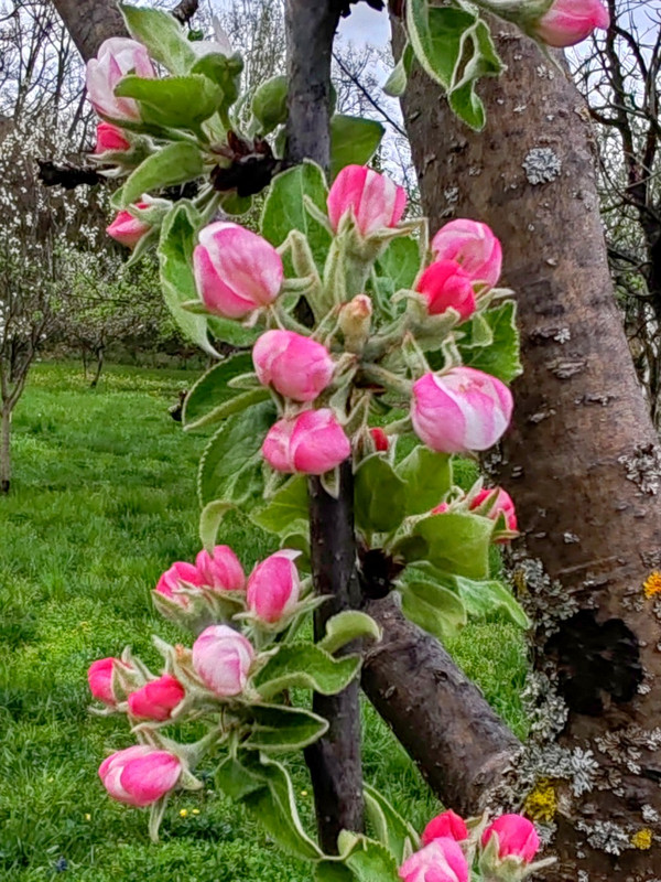 IMG 20260413 191425bbb