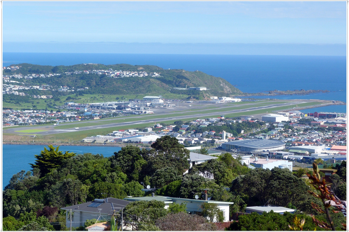 Escapadas y rutas por la Nueva Zelanda menos conocida - Blogs de Nueva Zelanda - Wellington más allá del Te Papa y el Cable Car (6)