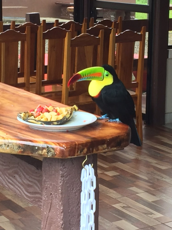 D8DF9458-C549-45B7-86E3-5C4C3310CC13