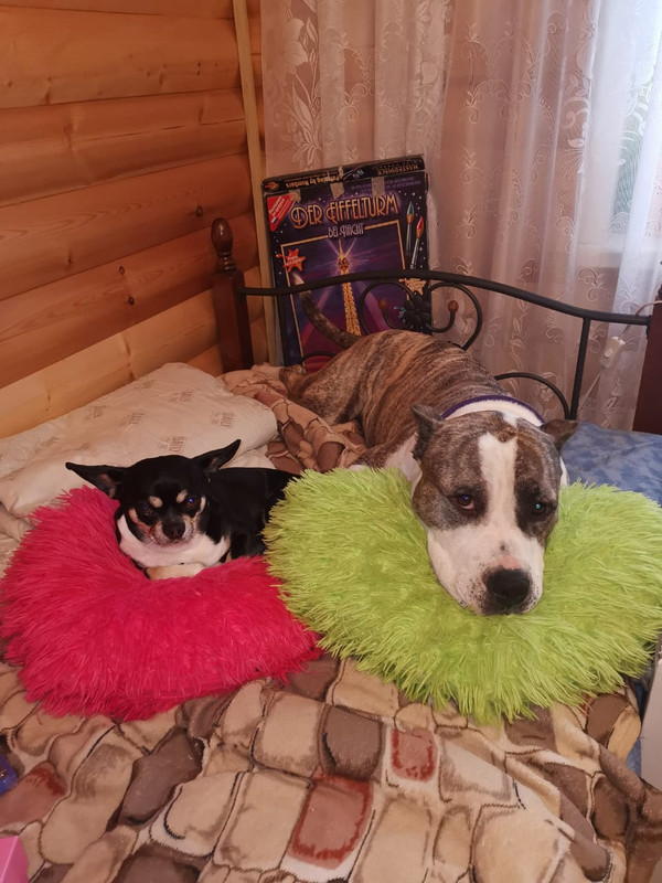 87A894B7-40CC-4BC5-9A90-5FC27ACD54C0