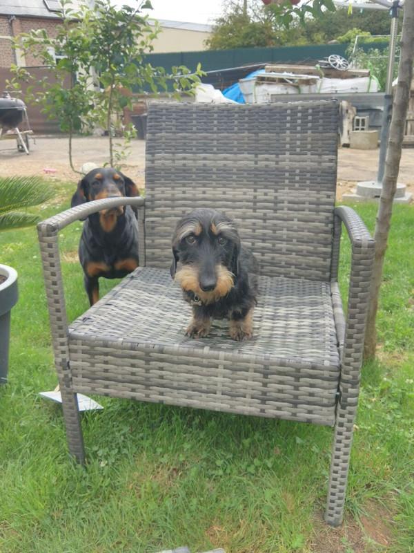 [Image: image000000-302.jpg]