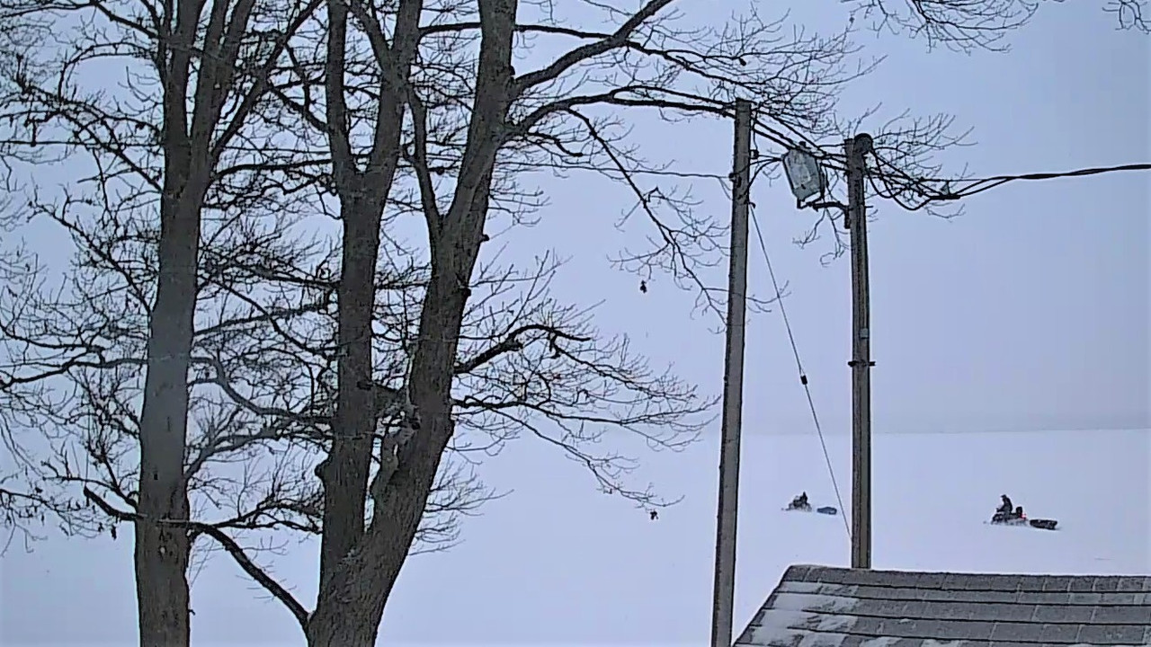 SnapShot-20200208_074335