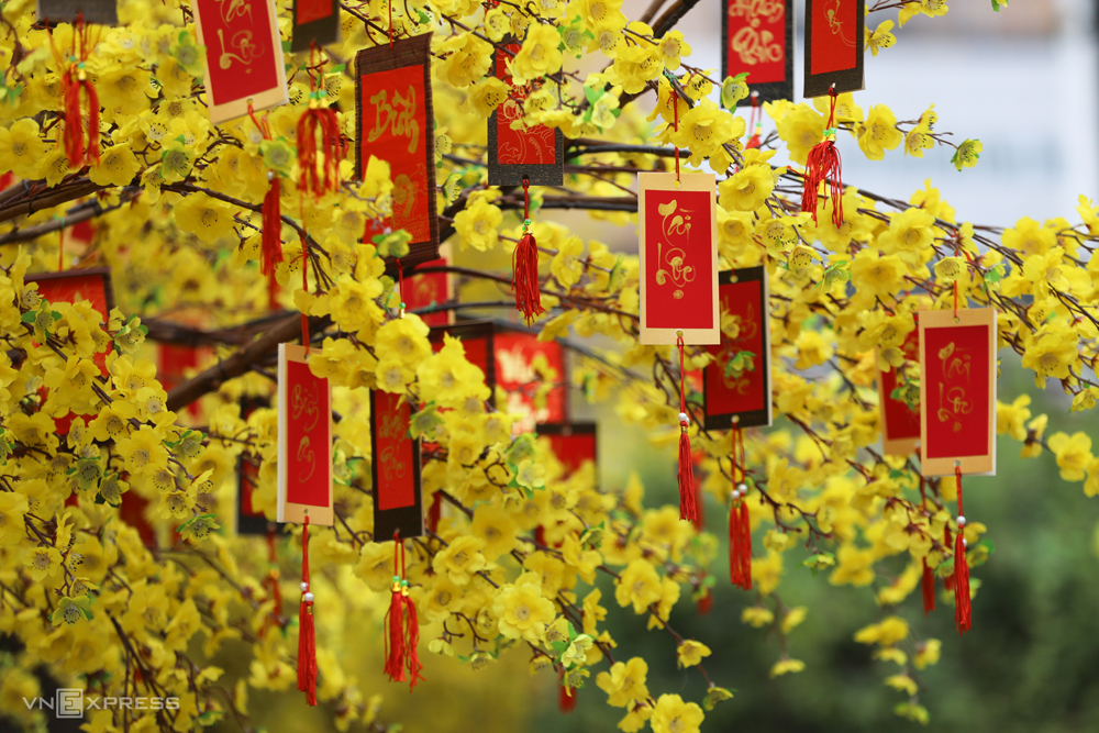 [Image: y164213mai.jpg]