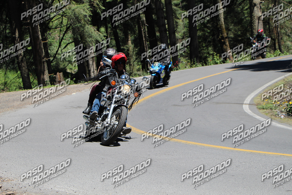 IMG 5611 wm 16706988 8 watermarked — Postimages