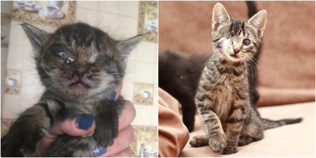 1D0BC670-DAE6-45F4-8C34-BD76ED6126AE