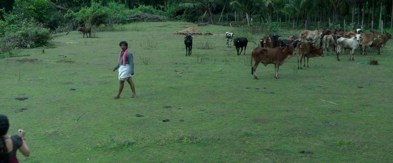 vlcsnap 2026 02 14 10h12m27s566