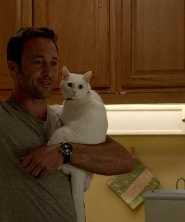 alex-o-loughlin-edorig