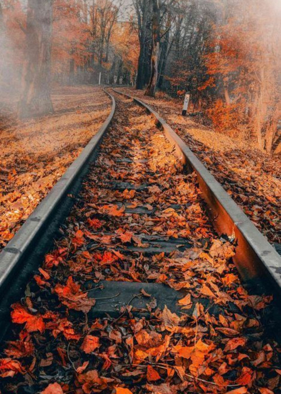 Screenshot_20230123_233928_Chrome