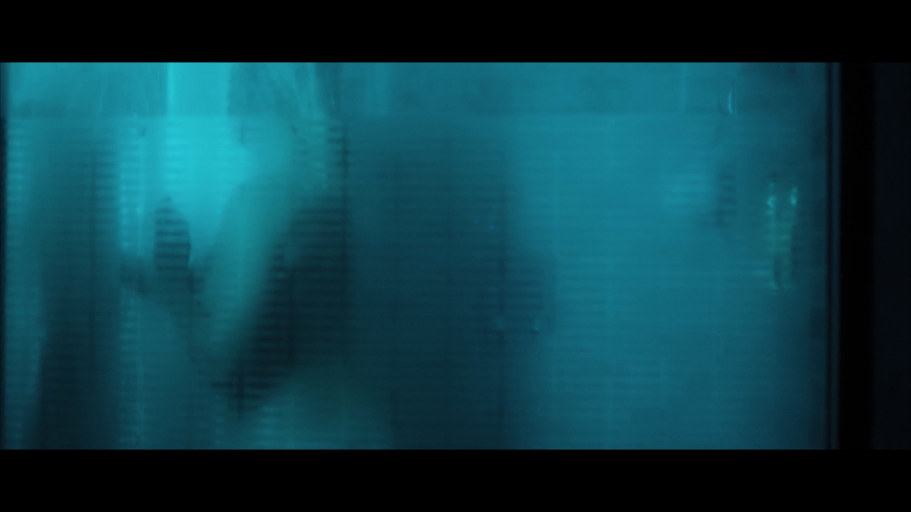 pq6f01vyx1.png