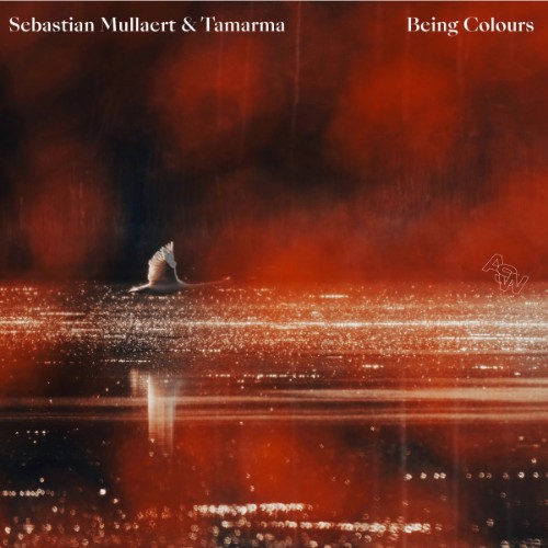 Sebastian Mullaert & Tamarma - Being Colours (2026)