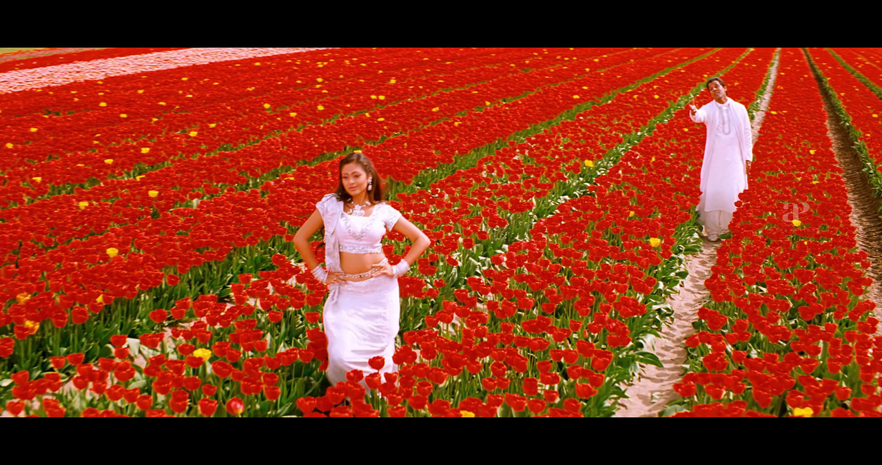 VideoCapture_20241122-195245