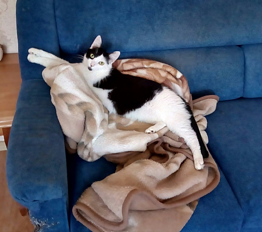 IMG_20180718_092753_424