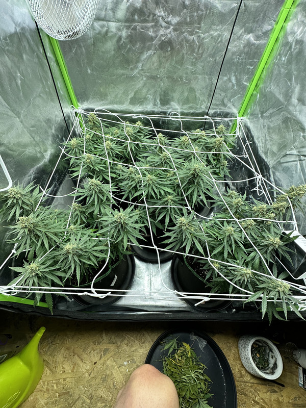 769D381C-9275-42FE-A7A4-87A1434CD80F