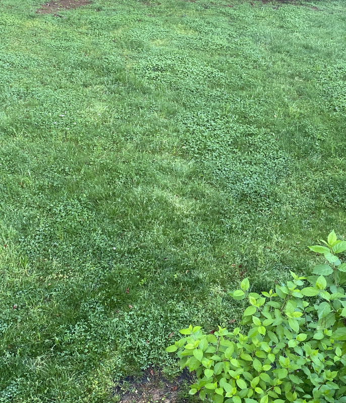 15B0BDB2-7231-425A-BDEE-D5456D849EF7