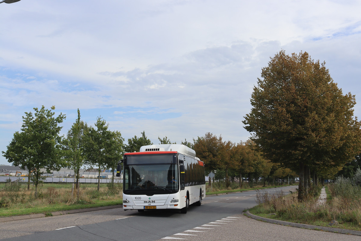 NOP29