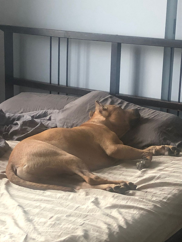 90A25DE1-6F50-456A-AF91-D9FB2146D3C2