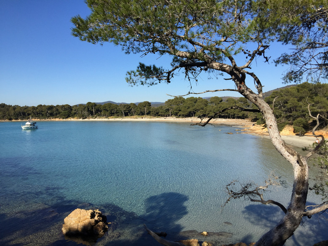 5353BB1D-A90C-4B9B-AA2E-32084A08CA3C