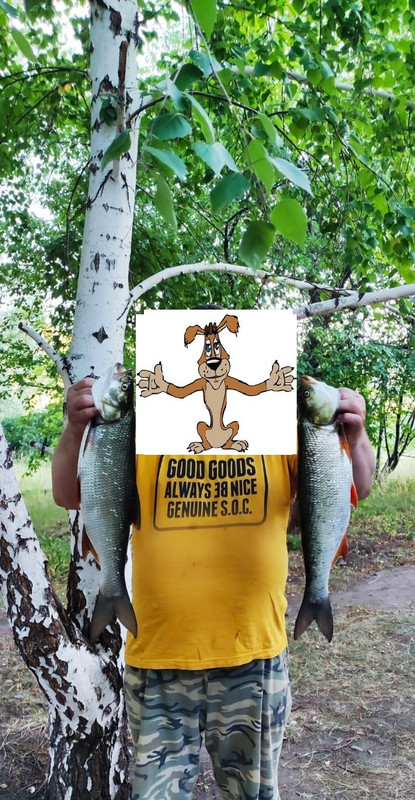 user posted image