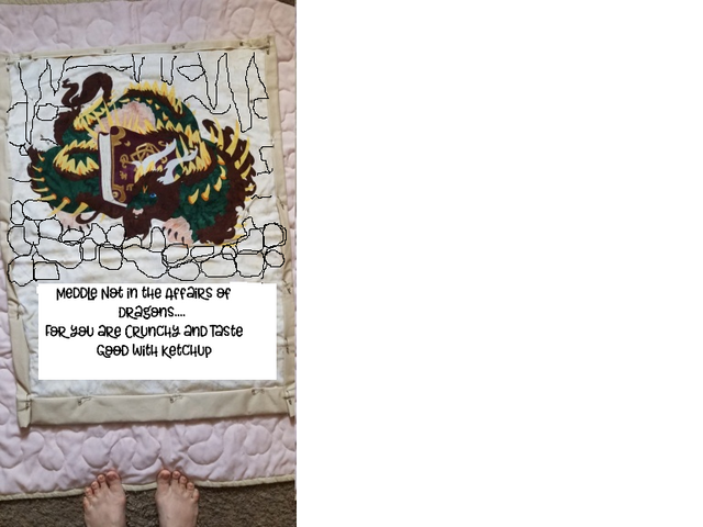 Quilting Suggestions, Please Dragon