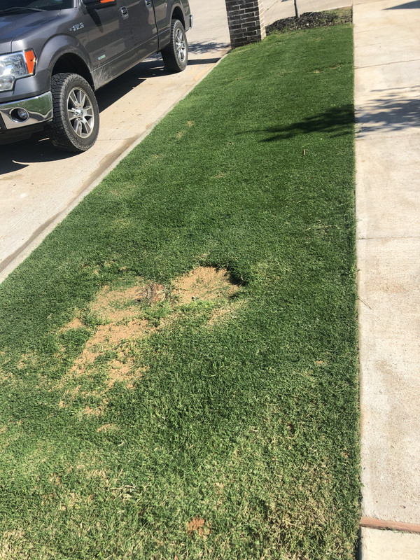 43FEA637-9795-43C9-A8DE-549E7B17F0AC