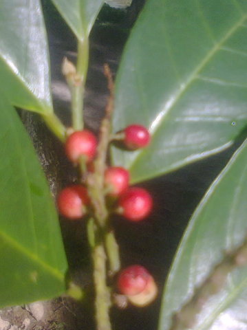 Photo0055_001