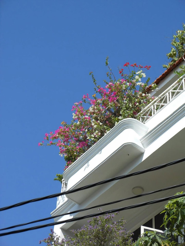 photo 7 2026 01 10 16 00 05