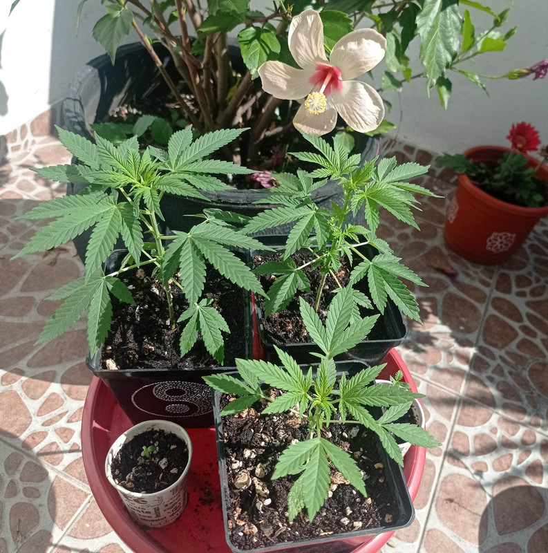 322929204_5794757003937437_6672591452467063666_n