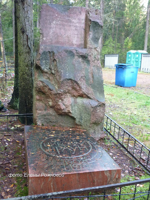 braun-nik1