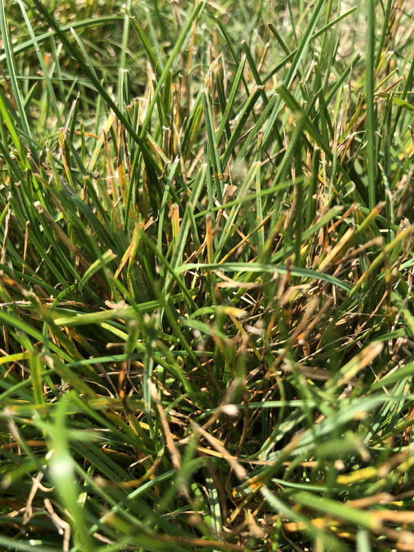 A7C141CE-F777-423C-B8B3-51FD1855E30E