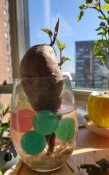 [Image: 20200701-092706.jpg]