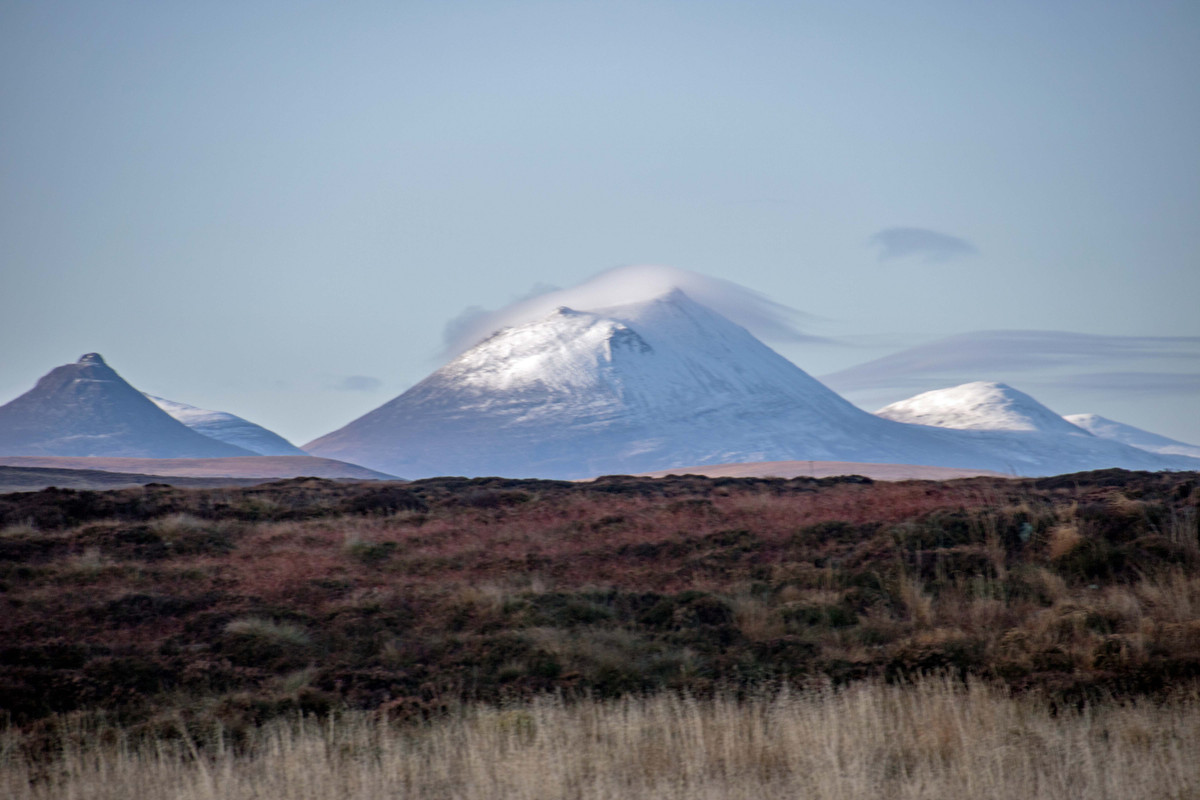 IMG-5450-Morven1.jpg