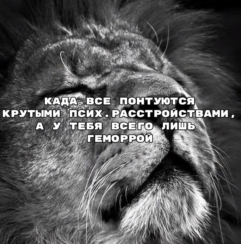 IMG-7163.jpg