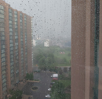 [Image: muachieu.jpg]