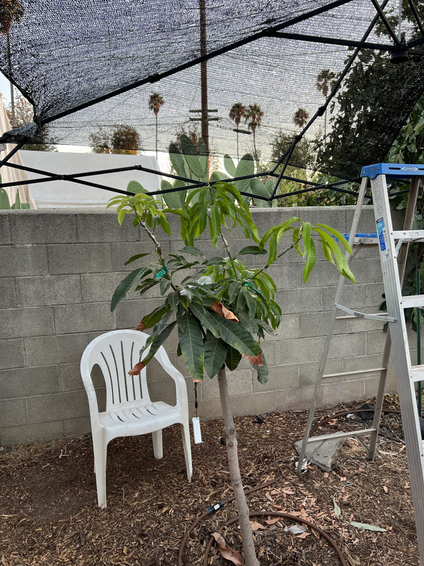 E16DFD4F-7054-4E63-AC77-91771FB5EA3C