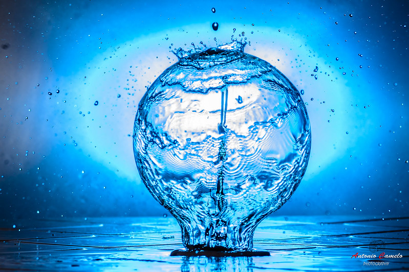 bluewaterfilledbulb.jpg