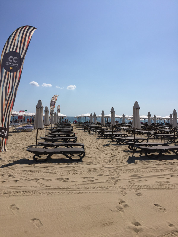 C0913ED5-B093-4881-B229-E1D84021380D