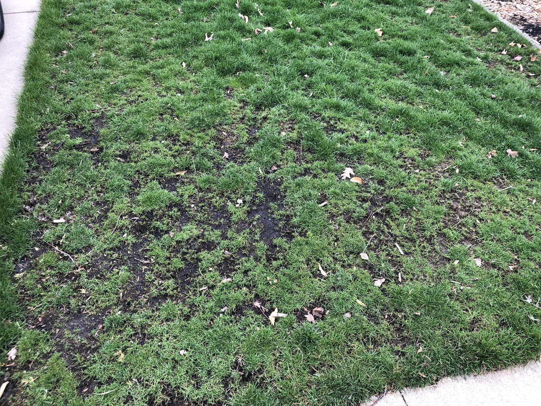 84335422-0A53-4F95-9364-6D29BDC5B876