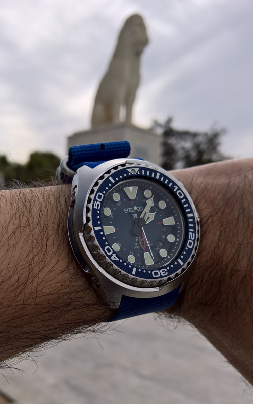 WP_20190203_14_06_18_Pro_LI (2)