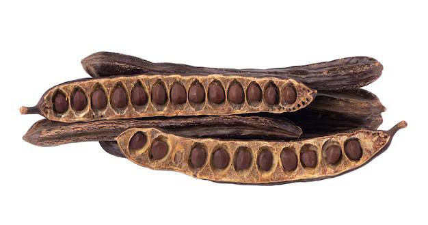 [Изображение: photo-2025-12-15-16-49-19.jpg]