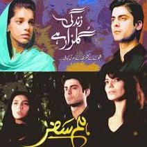 After Zindagi Gulzar Hai, the Pakistani drama Humsafar will be shown on Indian TV After Zindagi Gulzar Hai, the Pakistani drama Humsafar will be shown on Indian TV