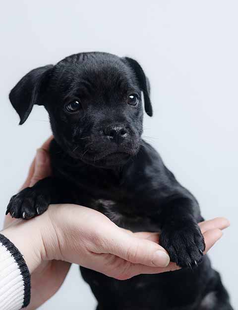 1-IMG_2447-2 копия