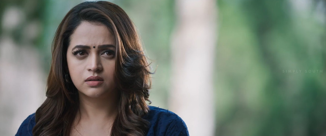 The Door 2025 WebRip [Hindi + Tamil] 480p 720p ESub Screenshot