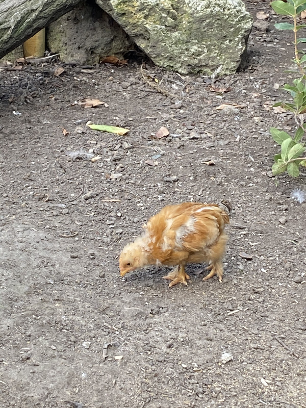 5812D742-4812-49EE-8C13-322232FC6768