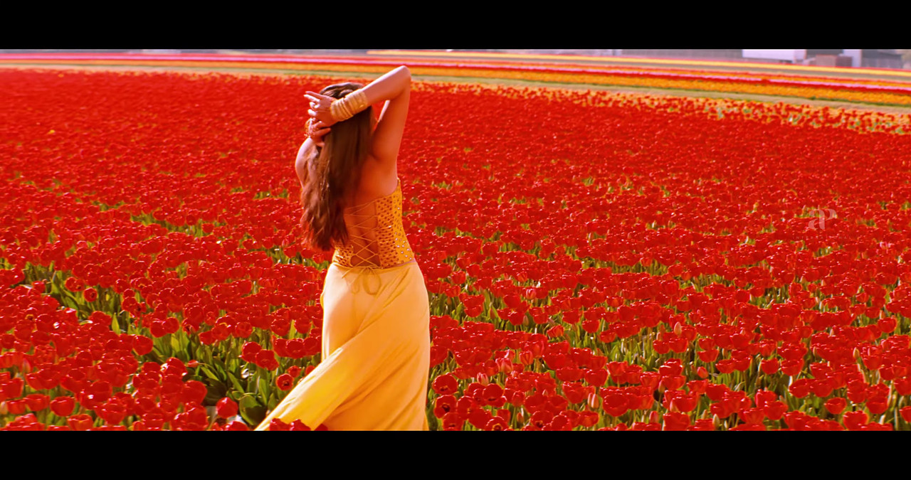 VideoCapture_20241122-200426