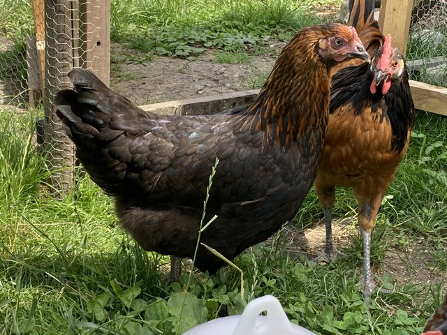 8DAA2BB8-CD37-4AC0-9852-99EFF5EA9E5C